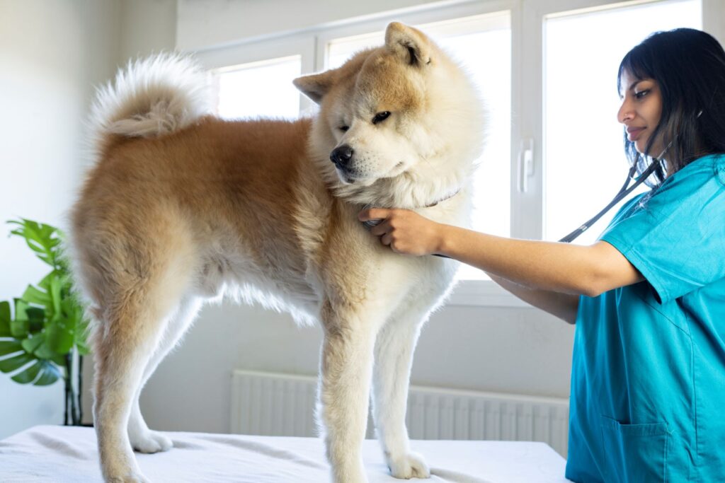 What are the 5 types of veterinarians