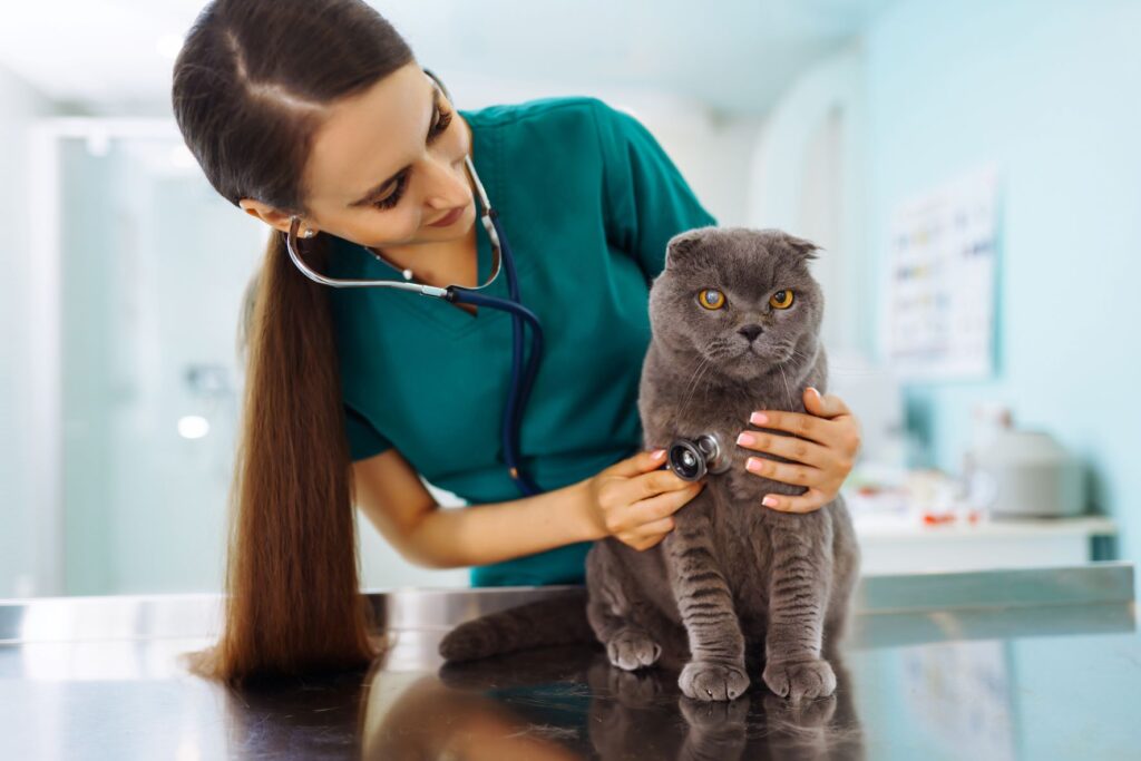 What do vet clinics offer